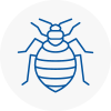 Bed Bug Extermination In Taibach