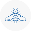 Bee Nest Removal Taibach