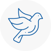 Bird Prevention Taibach