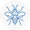 Taibach Hornet Nest Removals