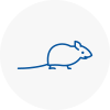 Mice Exterminators In Taibach