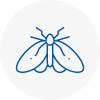 Moth Control Specialists In Taibach