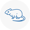 Rat Control Taibach
