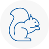 Taibach Rodent Removals